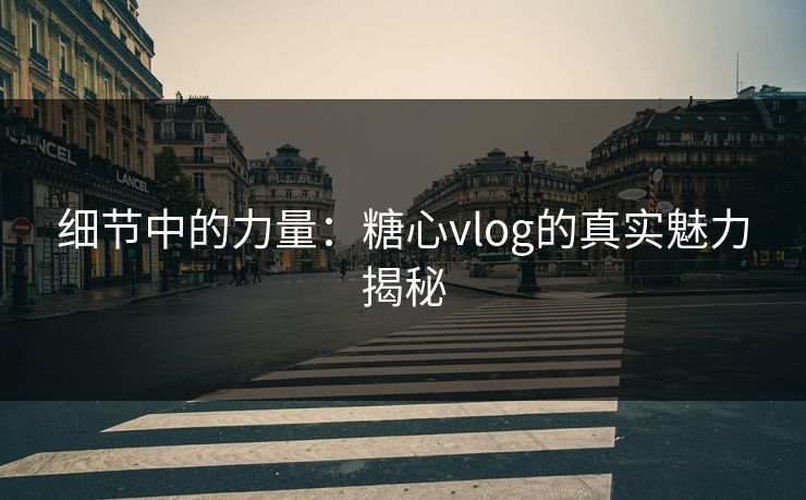 细节中的力量:糖心vlog的真实魅力揭秘 细节中的力量:糖心vlog的真实魅力揭秘